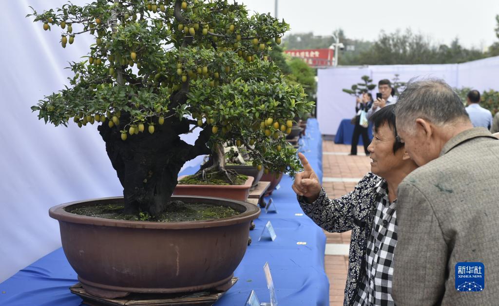 正规真钱平台